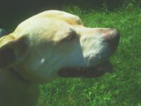 photo-3